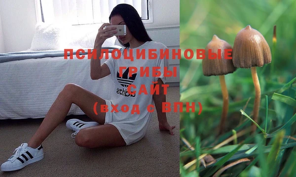 амф Белокуриха