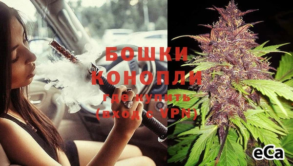 амф Белокуриха
