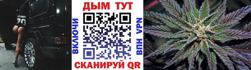 Бошки Шишки семена Котовск